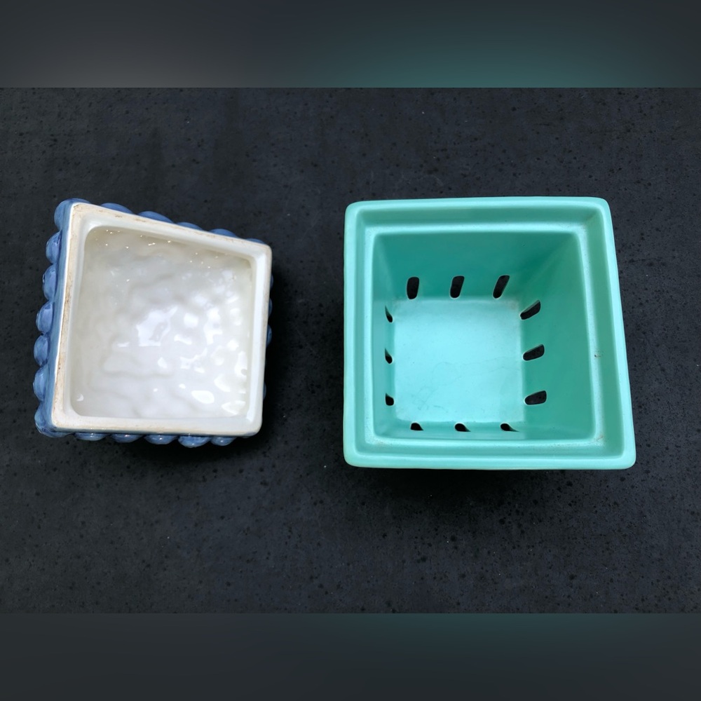 Blueberry Container - Picture 5 of 6
